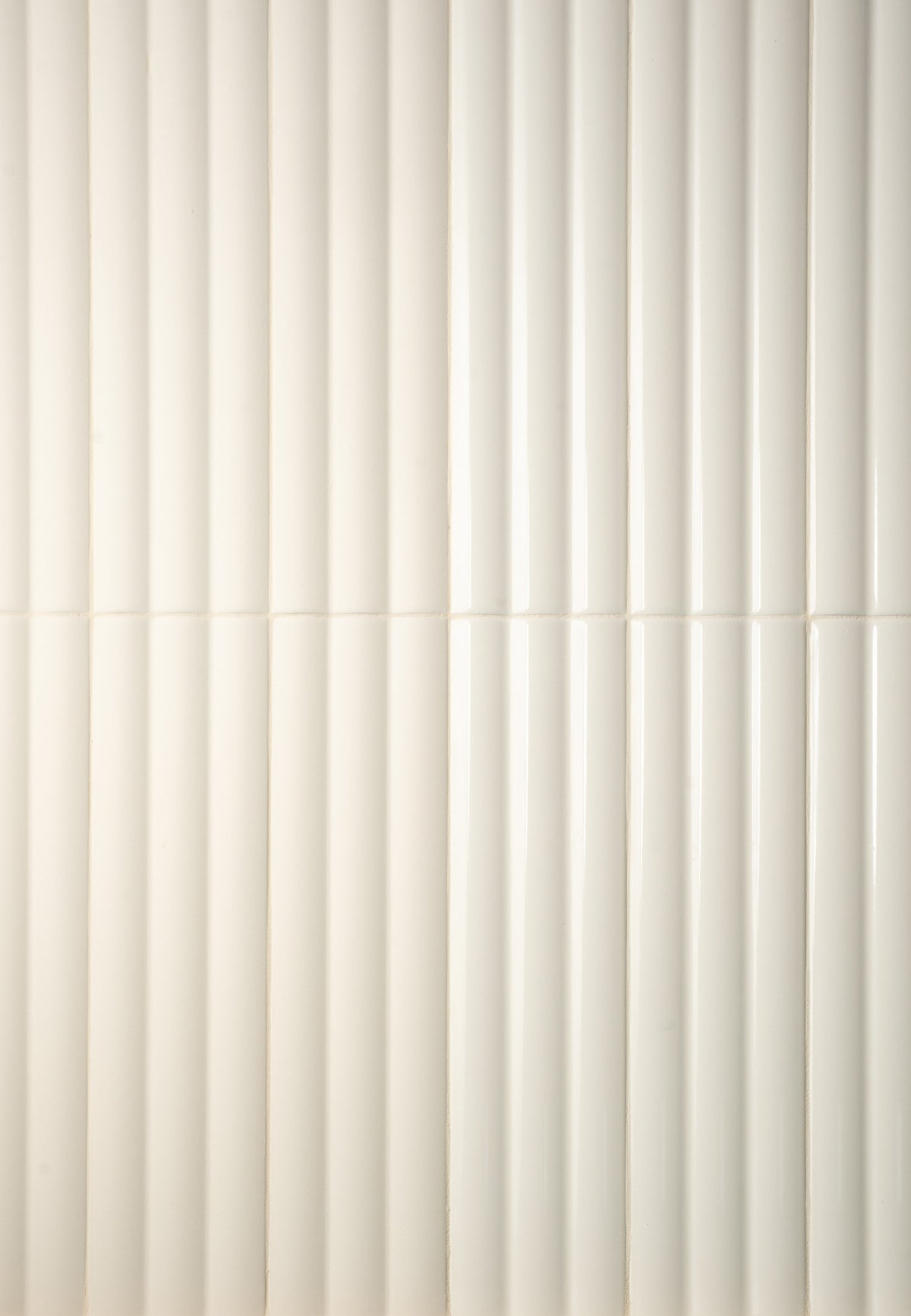 Acanthus: Bone Reeded