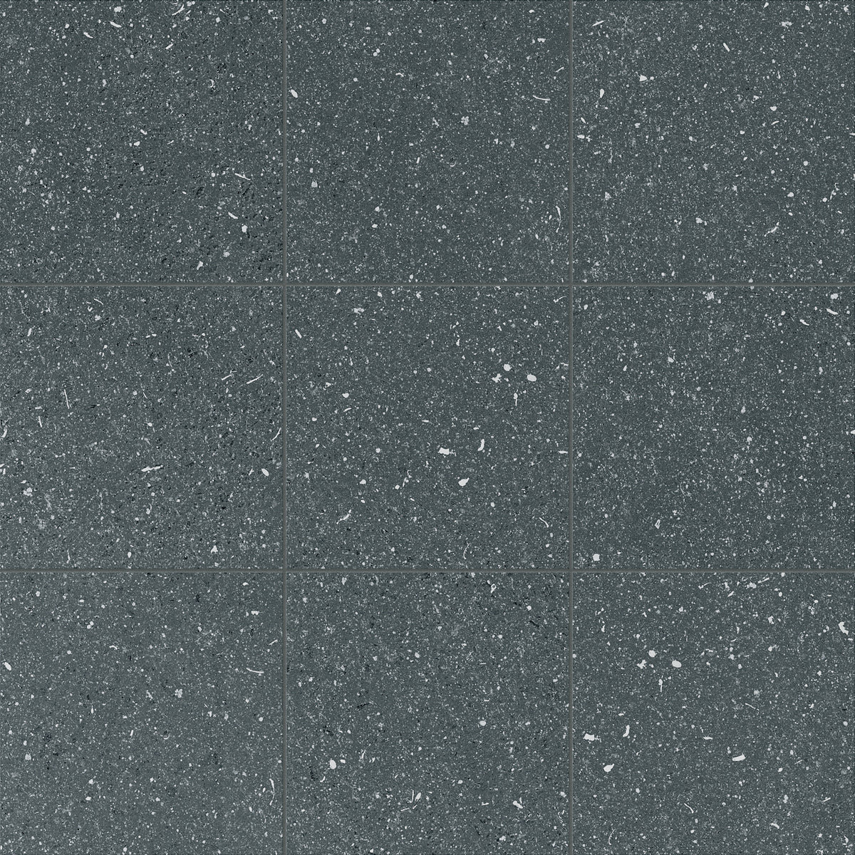 Atelier Salt: Laguna