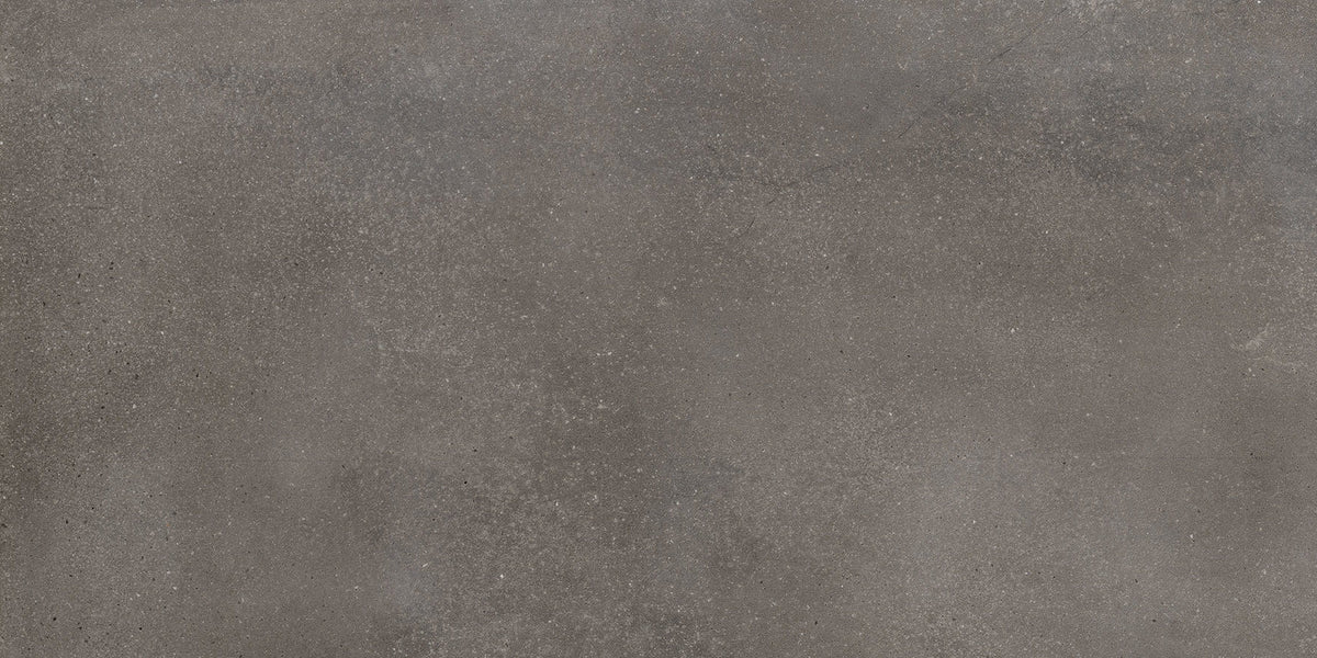 Bacchini: Carbon