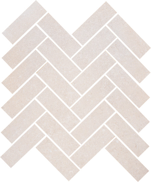 Benelux: Sea Shell