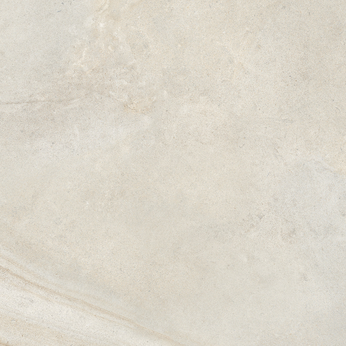Chardonnay: Ivory