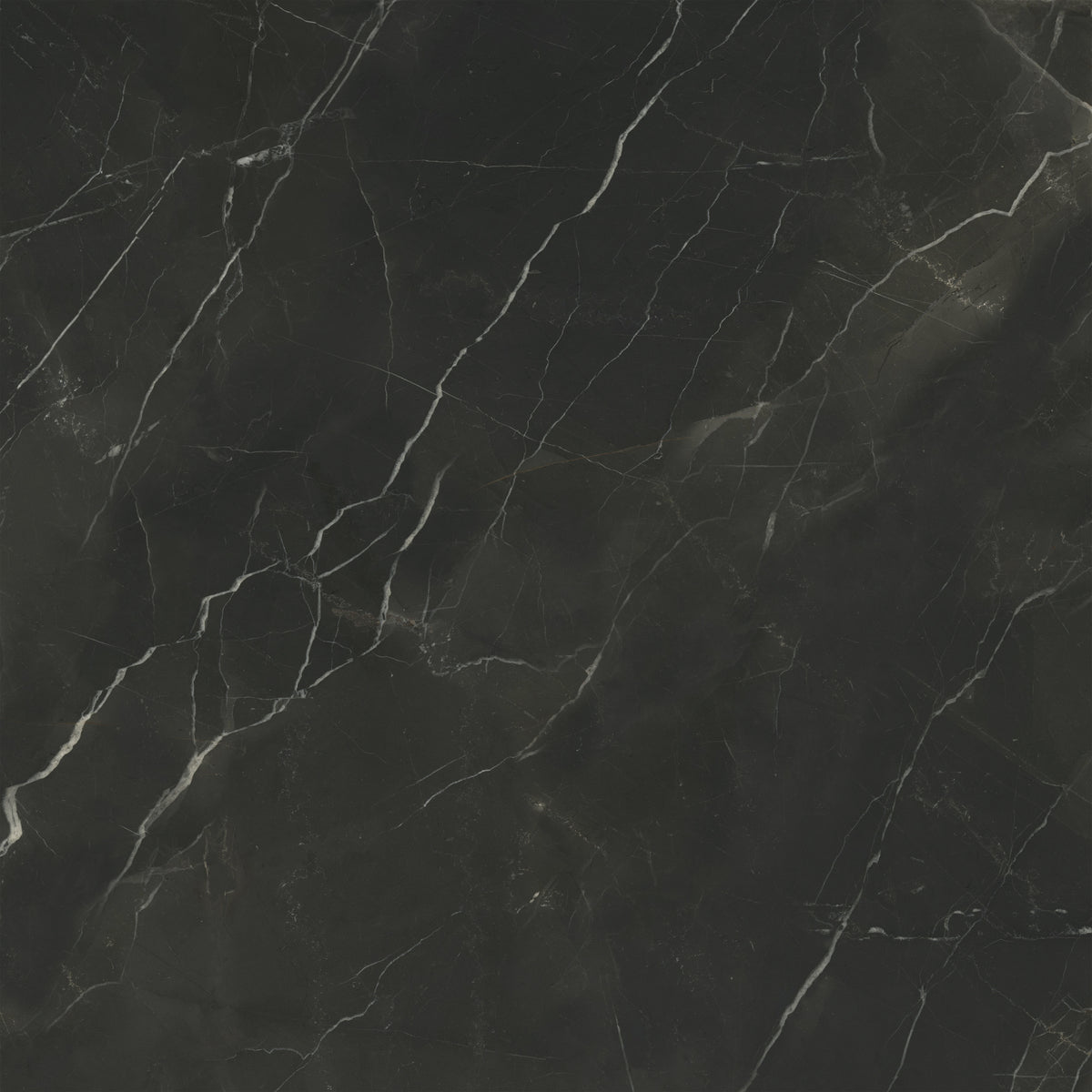 Charme Evo: Calacatta Black