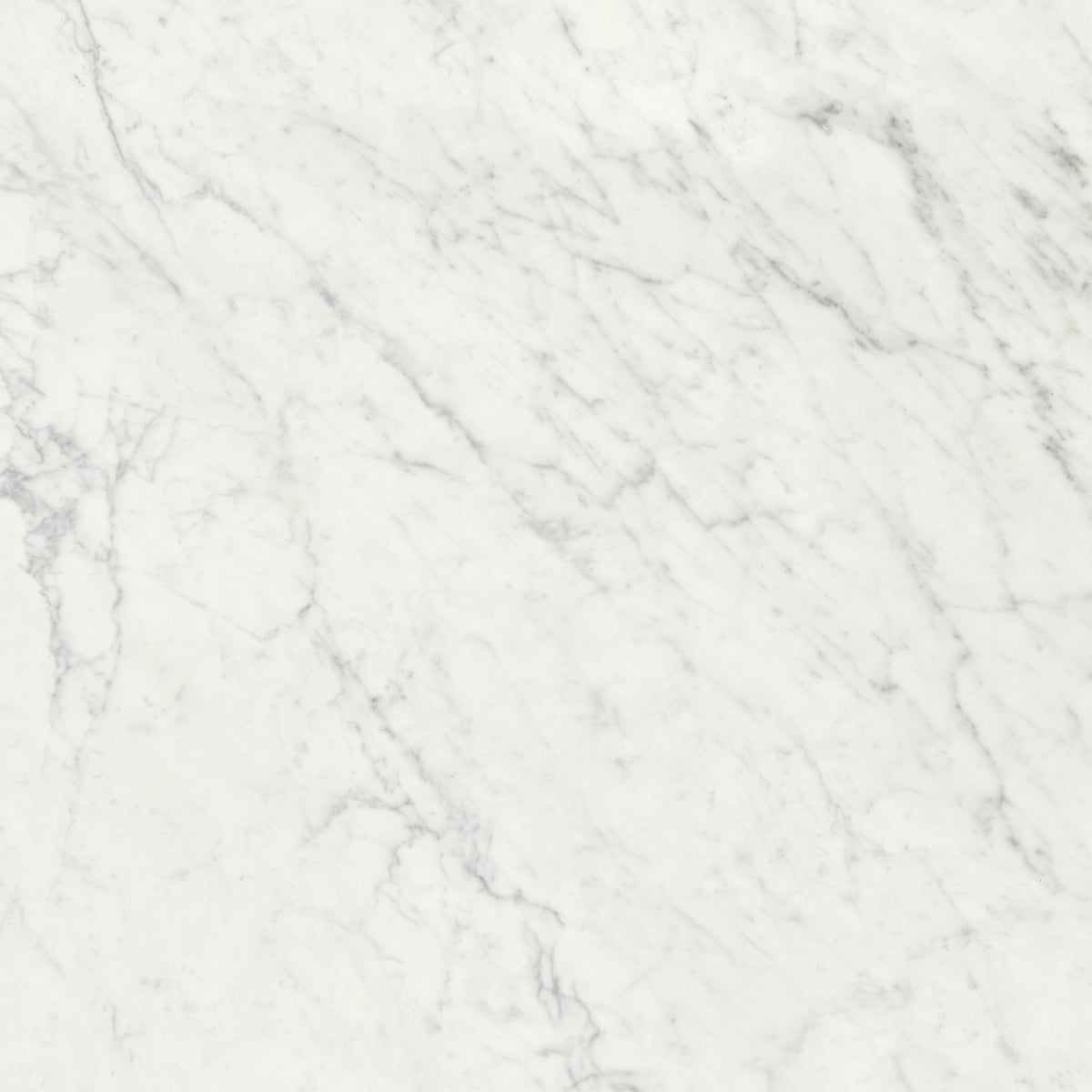 Charme Evo: Michelangelo Extra White
