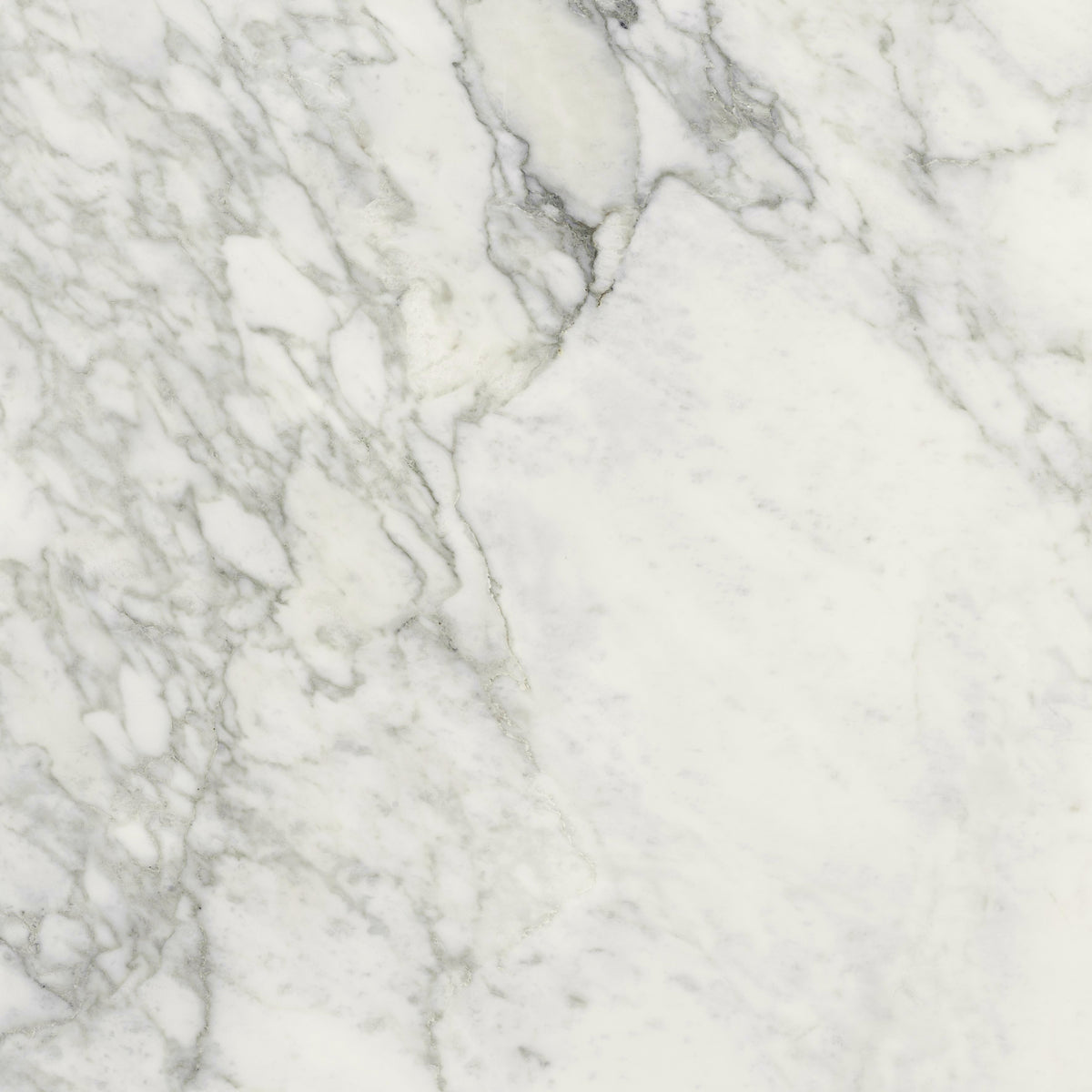 Charme Evo: Renoir Plus