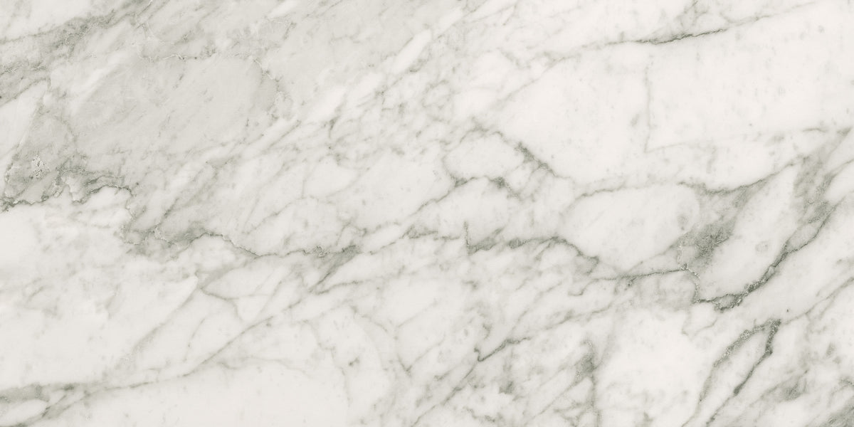 Charme Evo: Renoir Plus