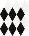 Checkmate: Black & White