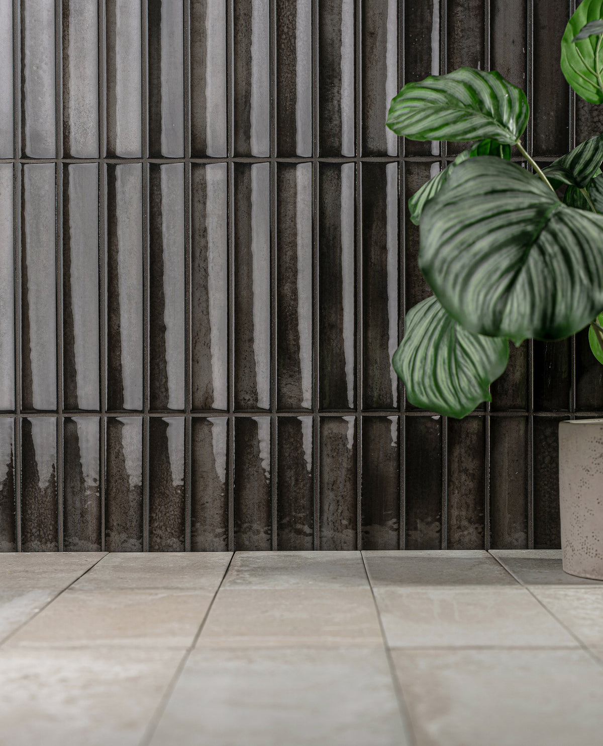 Concava: Black