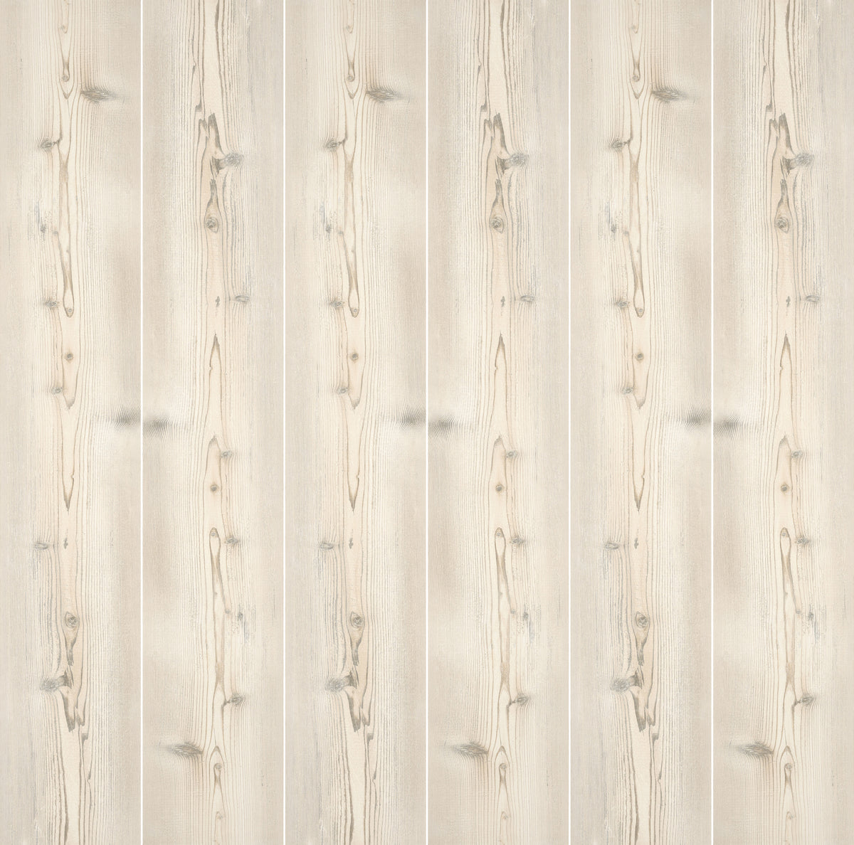 Cortina: Almond