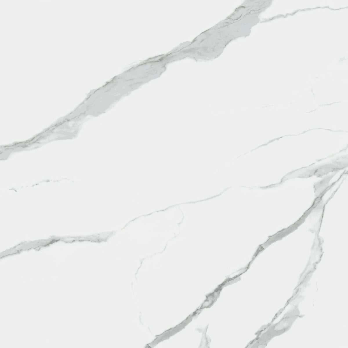 Distinguish: White