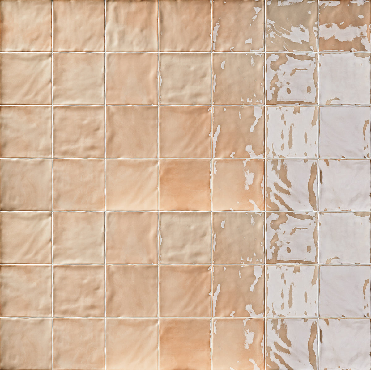 Europa Wall: Graine