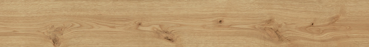 Exence: Almond