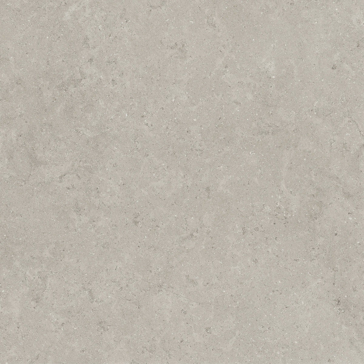 Frontier20 Pavers: Limestone Ash