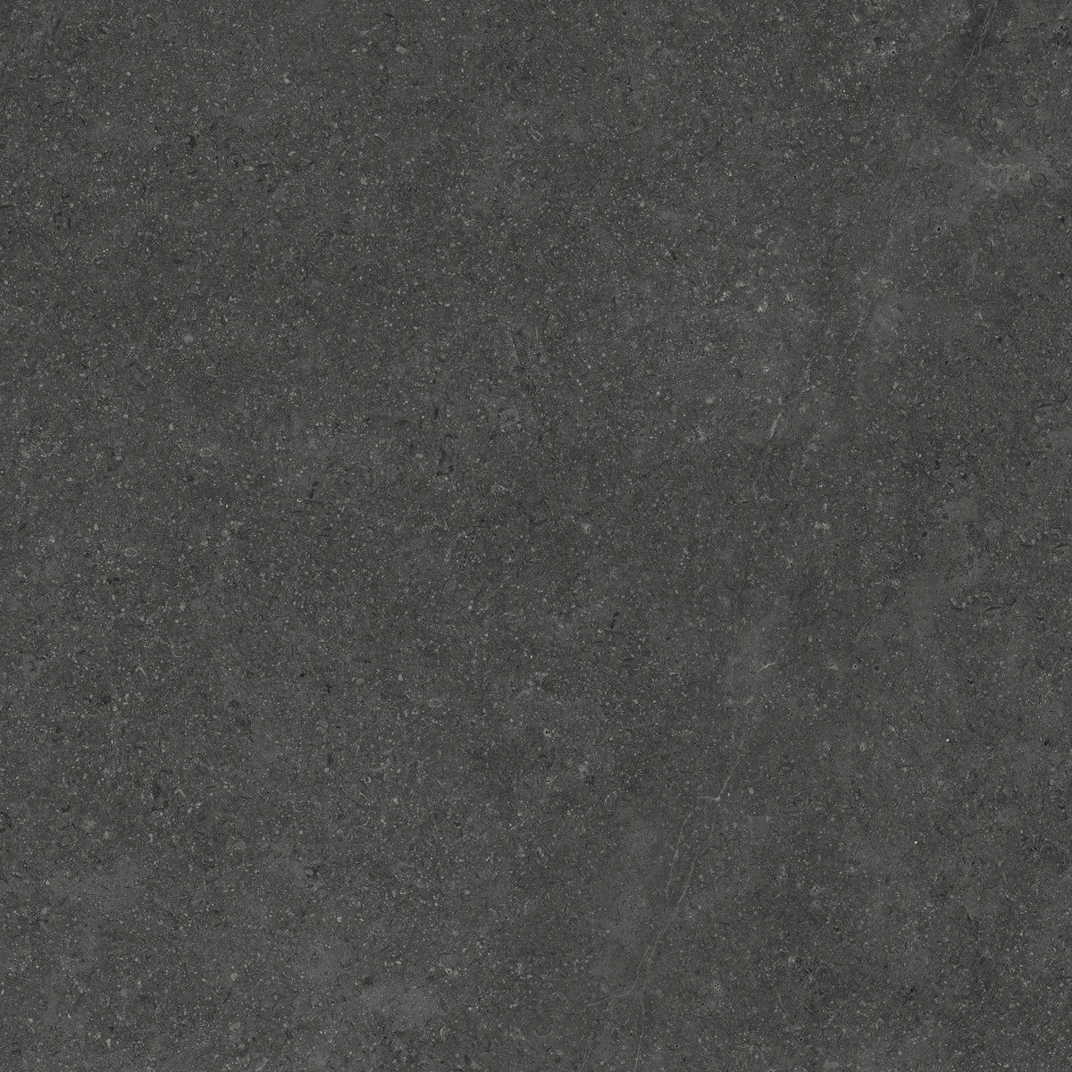 Frontier20 Pavers: Limestone Charcoal
