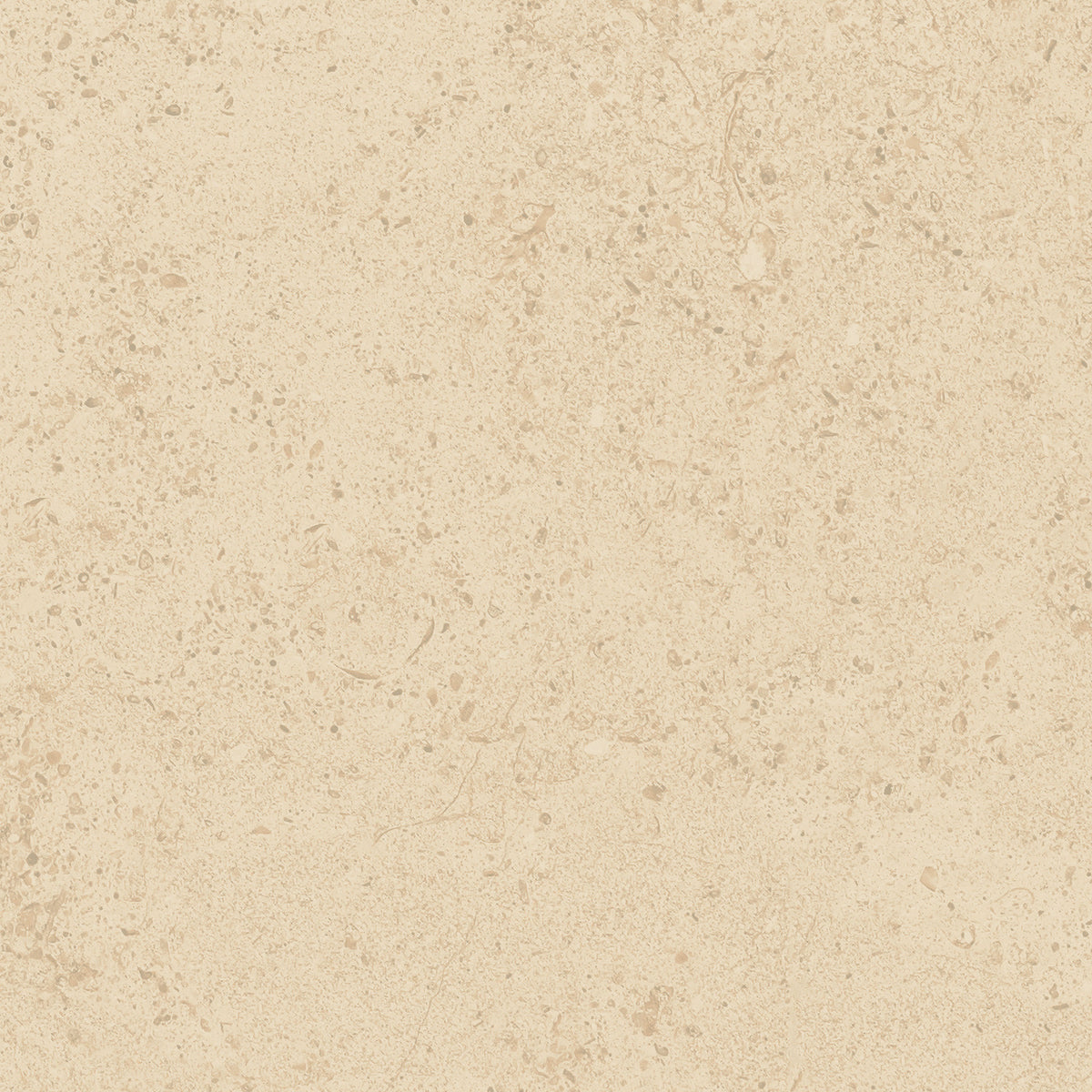 Frontier20 Pavers: Limestone Dune
