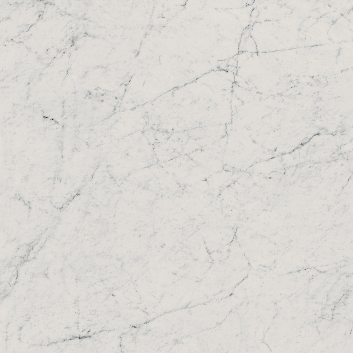 Frontier20 Pavers: Marble Michelangelo Extra White