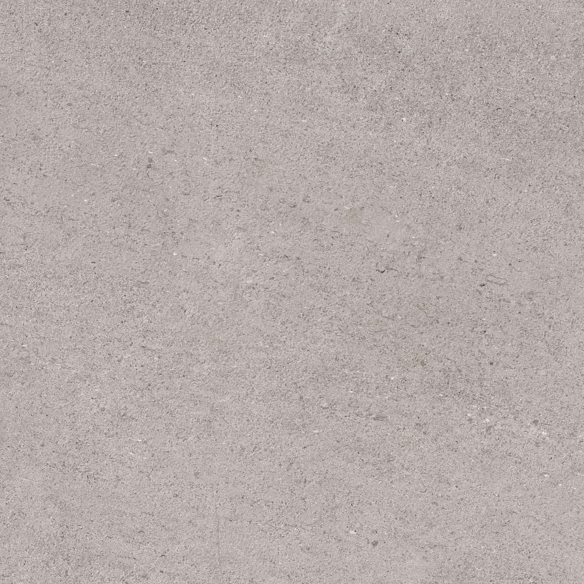 Frontier20 Pavers: Stone Absolute