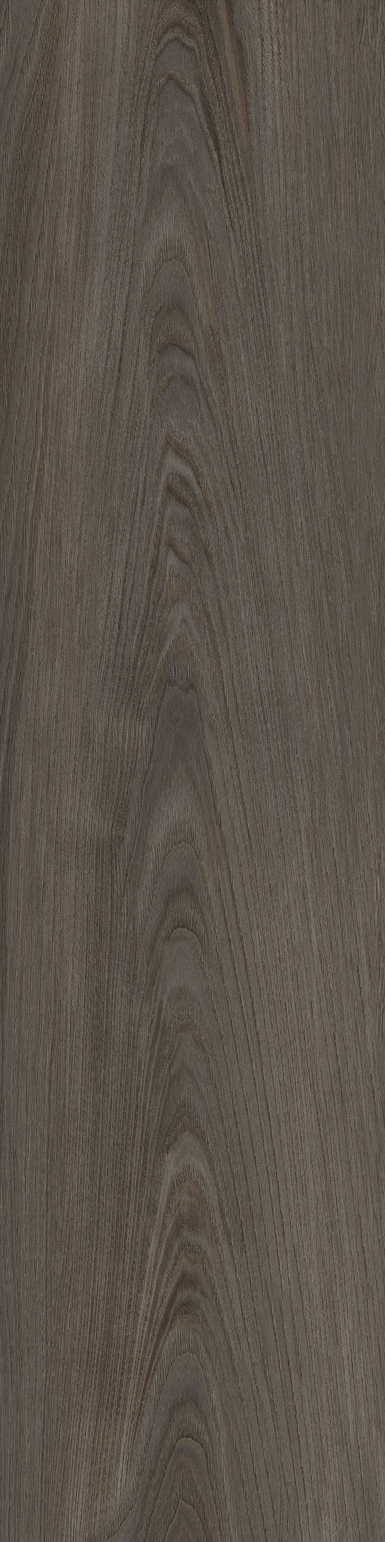 Frontier20 Pavers: Wood Essence Grey