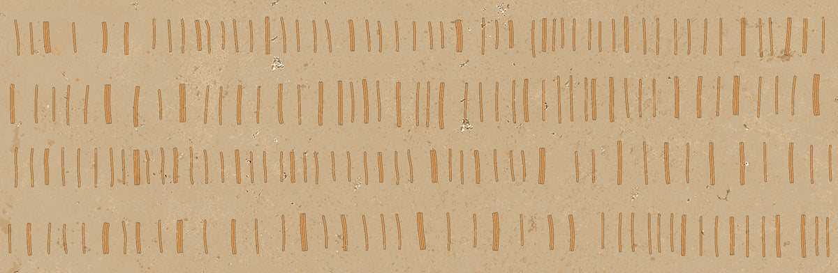 Ferro Lavato: Miso Ochre