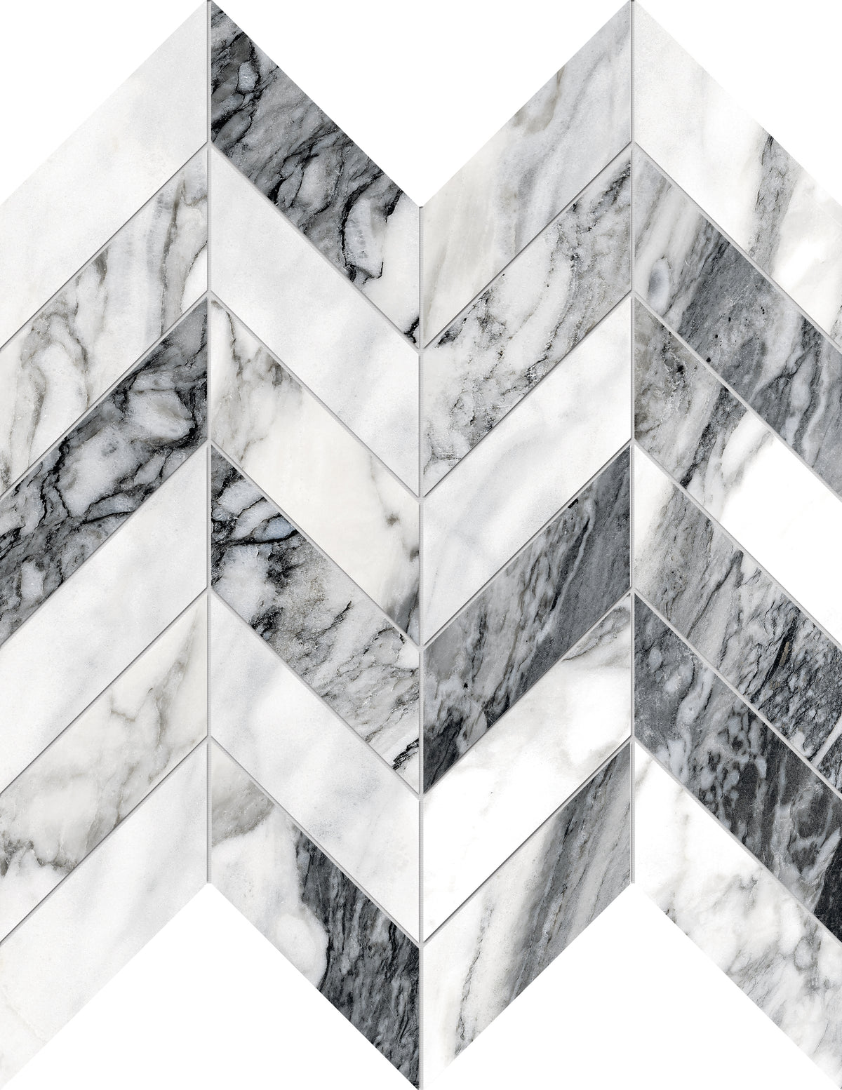 Fiery: Zebre
