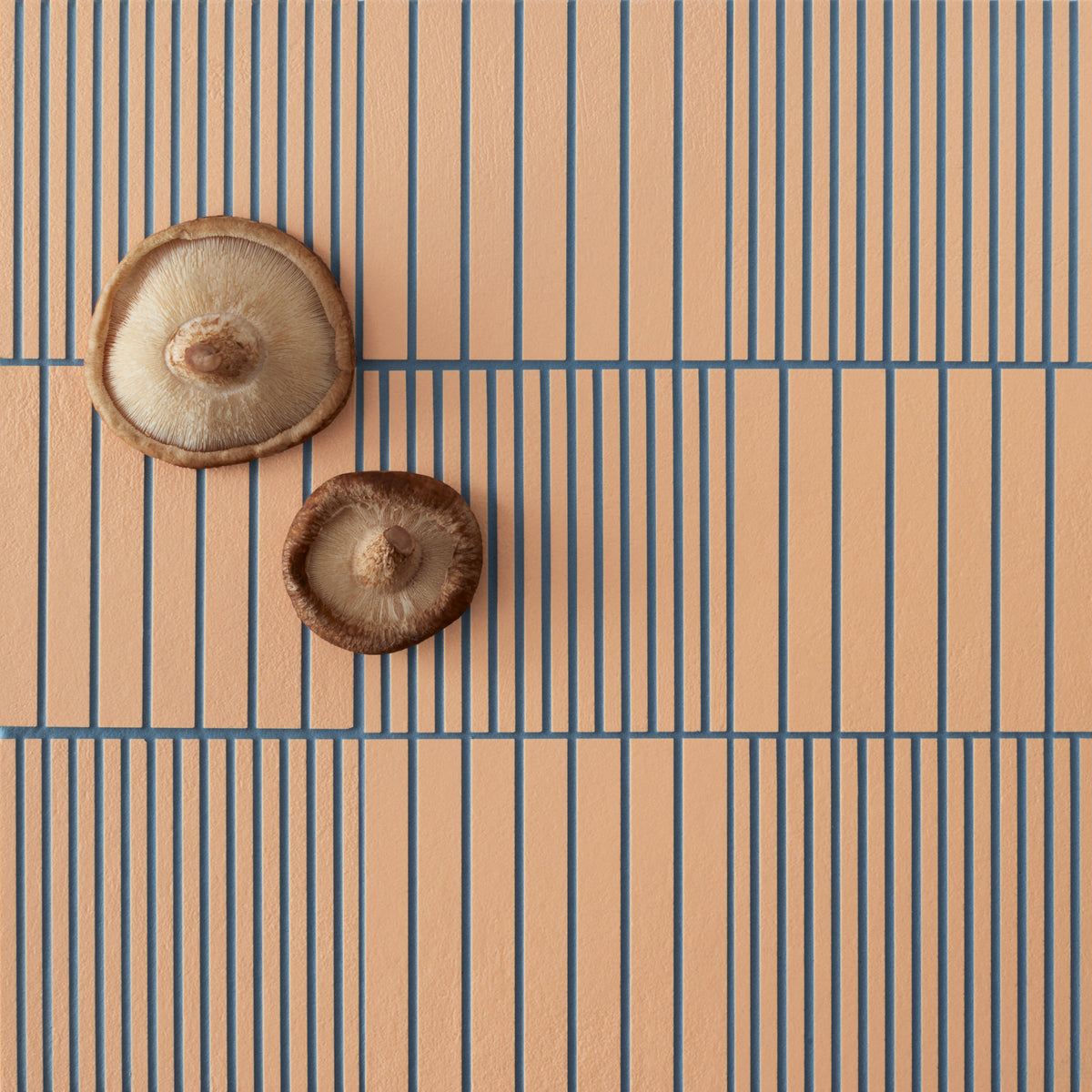 Fringe by Mutina: Bold Rose