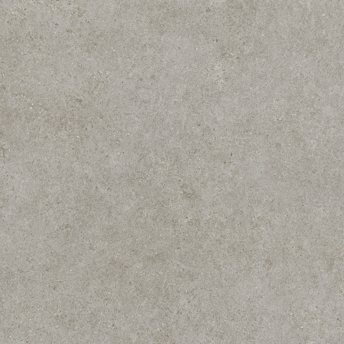 Ghiaia: Grey