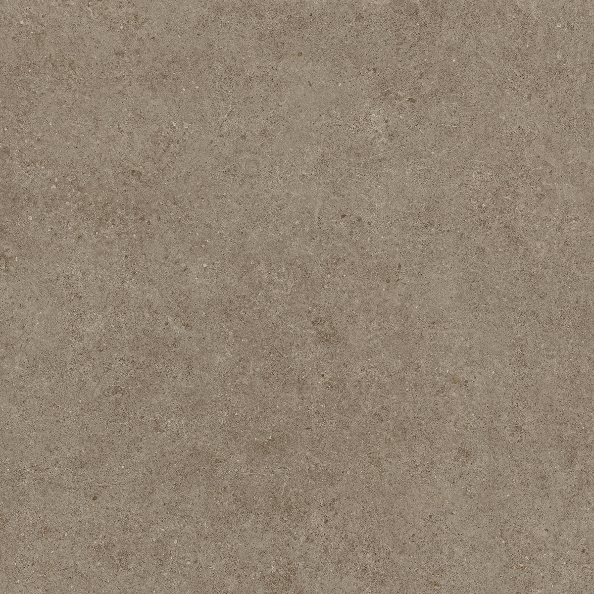 Ghiaia: Taupe
