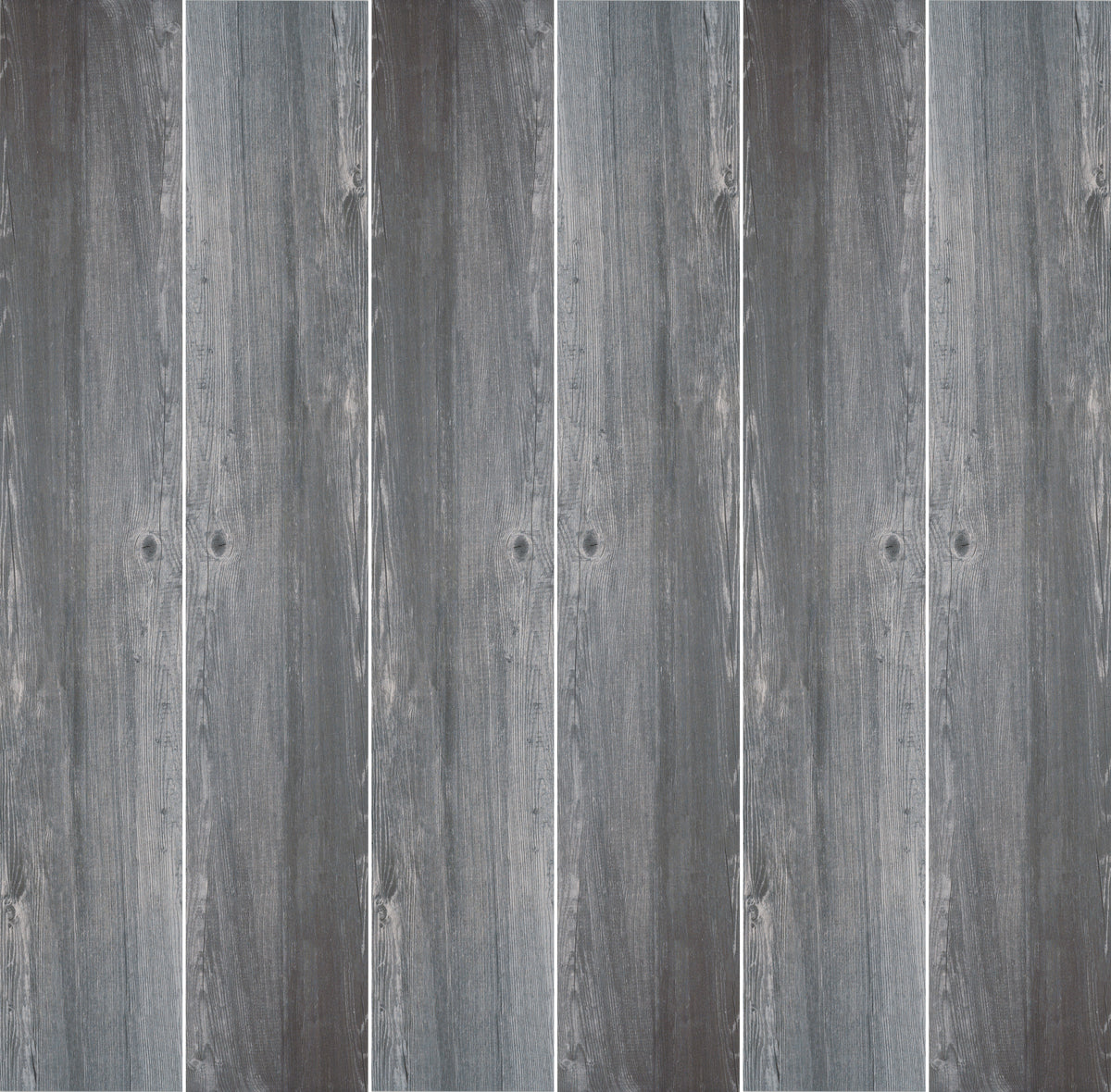 Larix: Shade