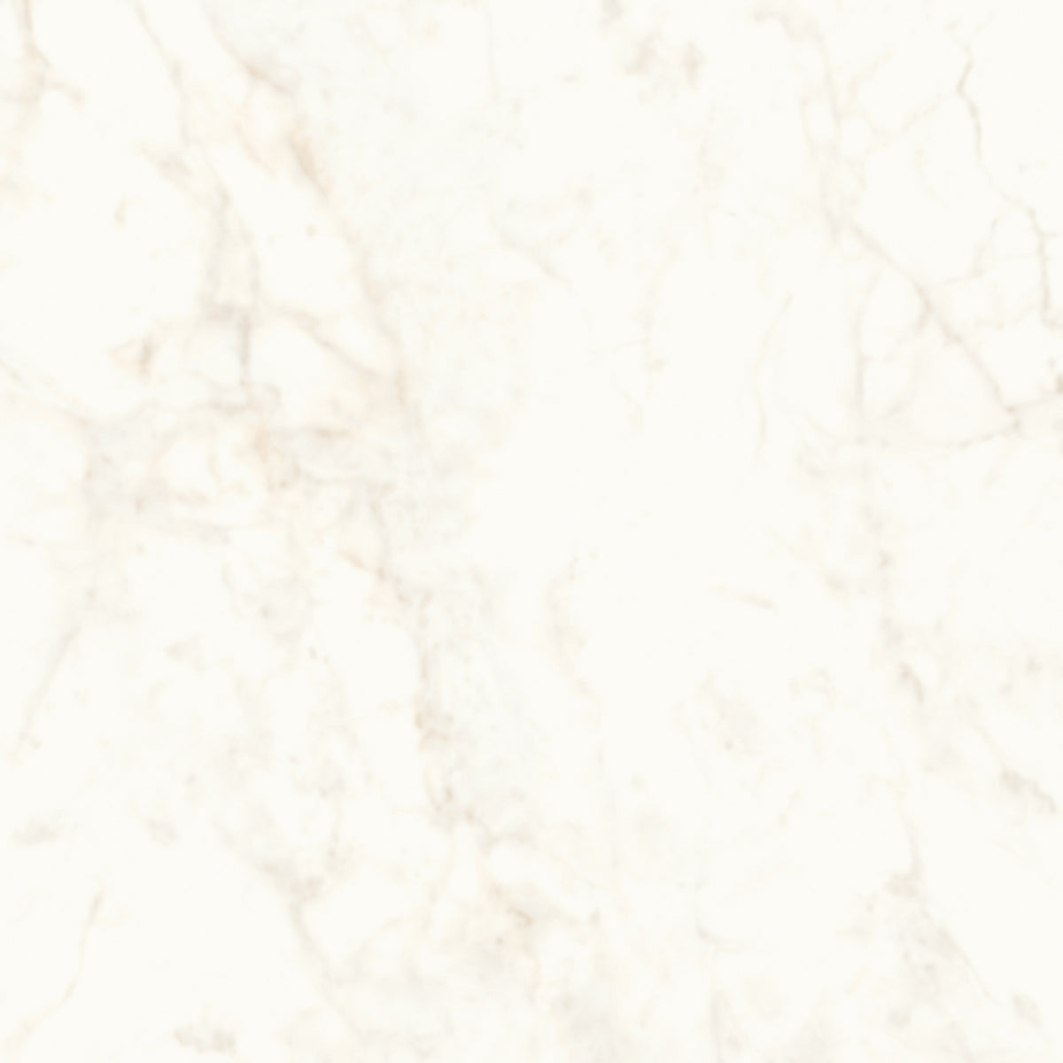 Marvel Shine: Calacatta Delicato