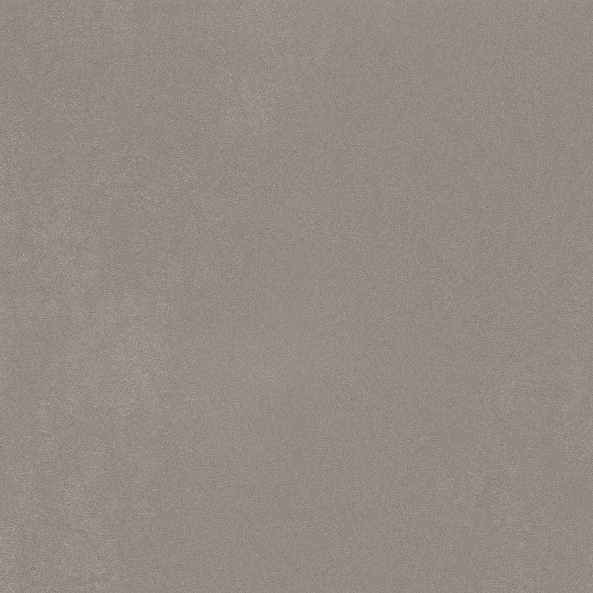 MicroForm: Medium Grey