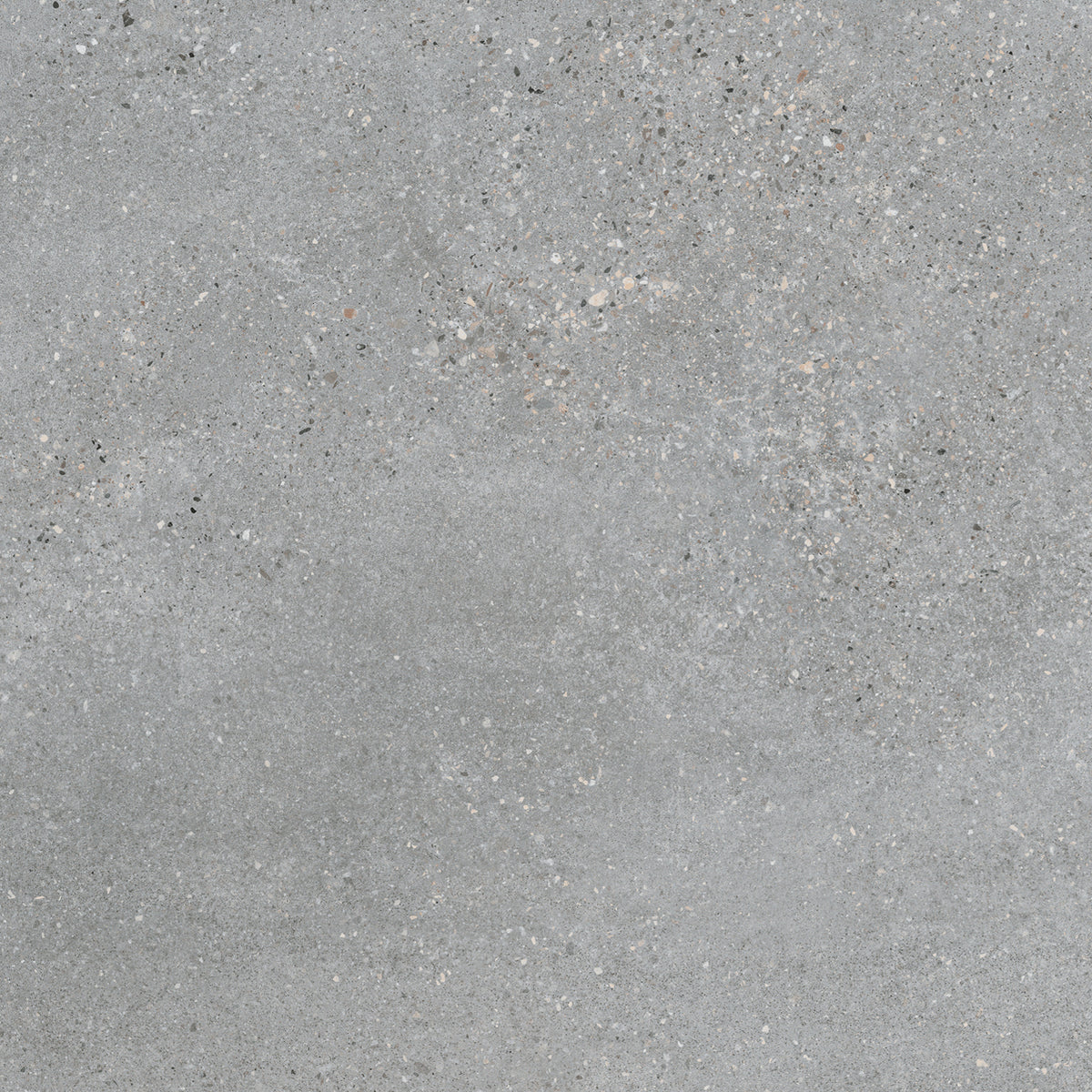 Mold: Cinder