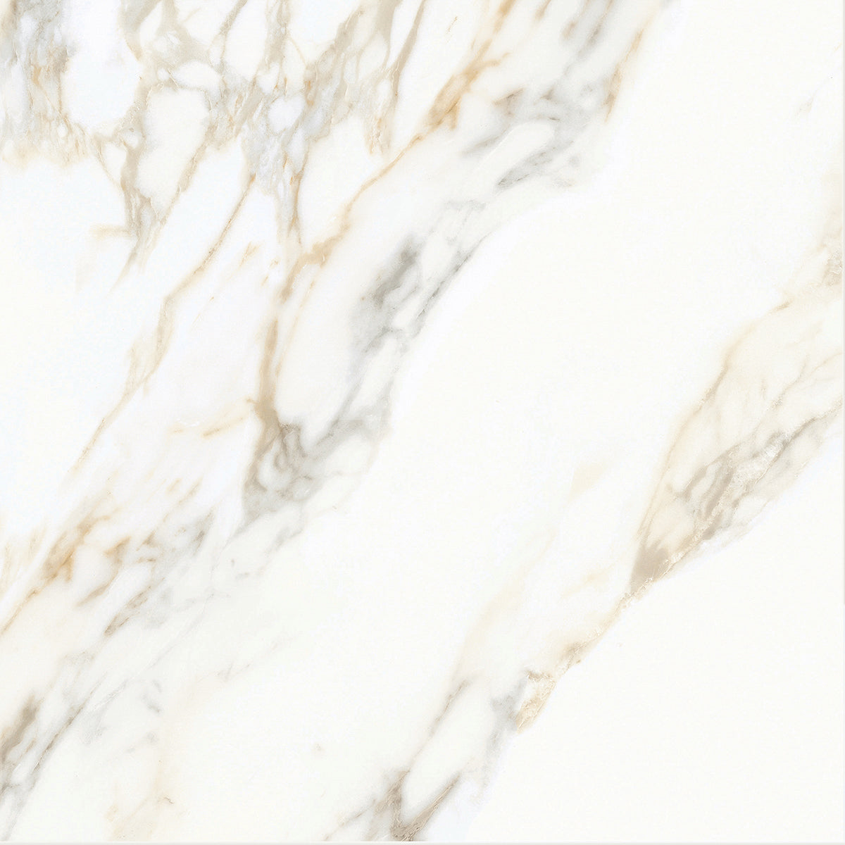 Muse 2.0: Calacatta Gold