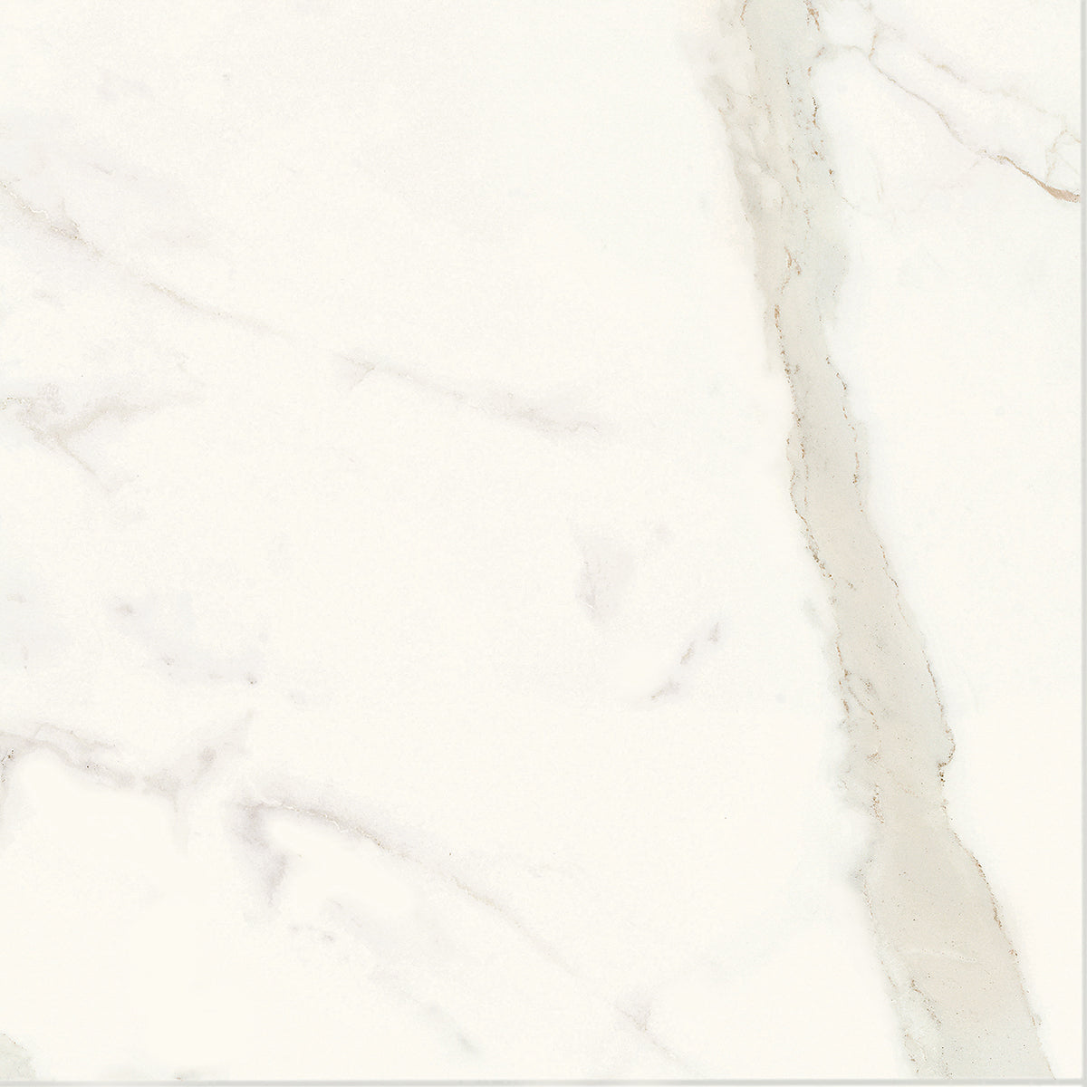 Muse 2.0: Calacatta