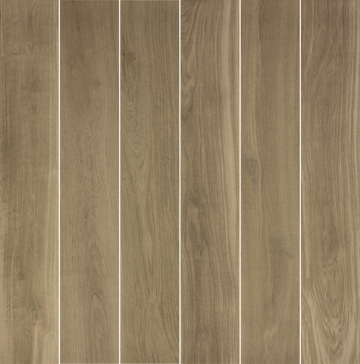 Next: Oak