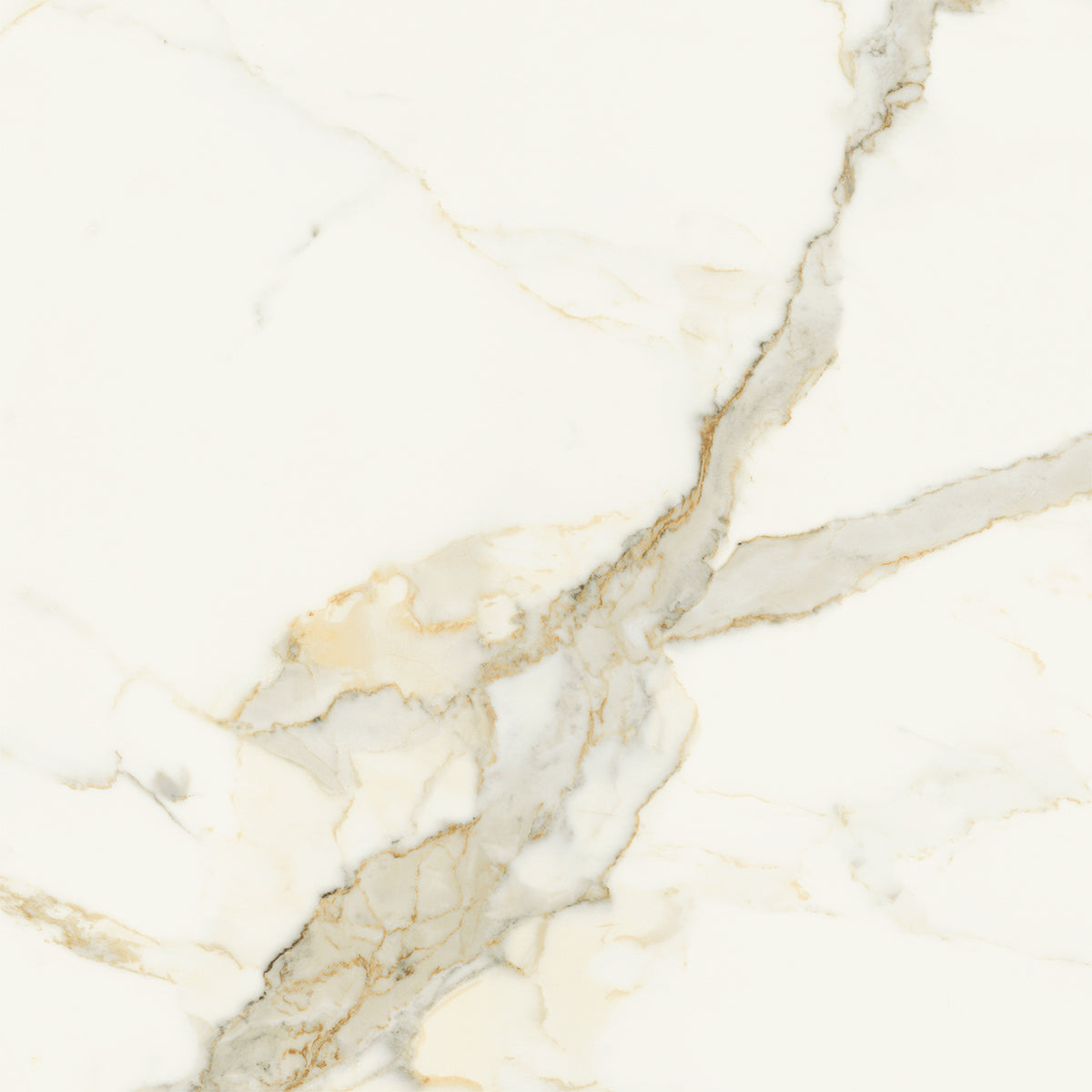 Opulent: Calacatta Oro Fino