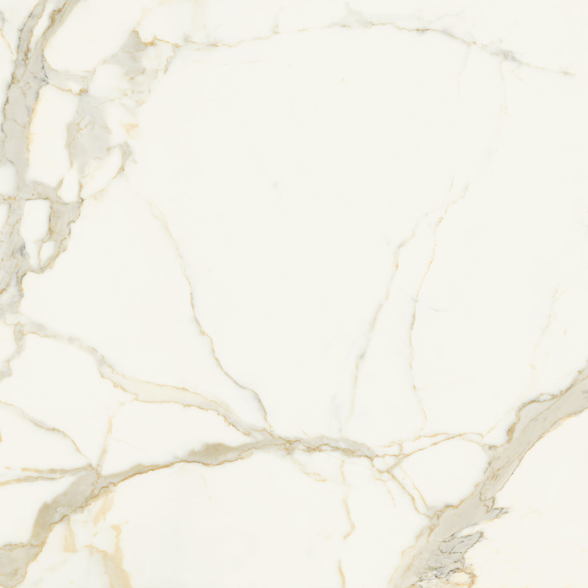 Opulent: Calacatta Oro Fino