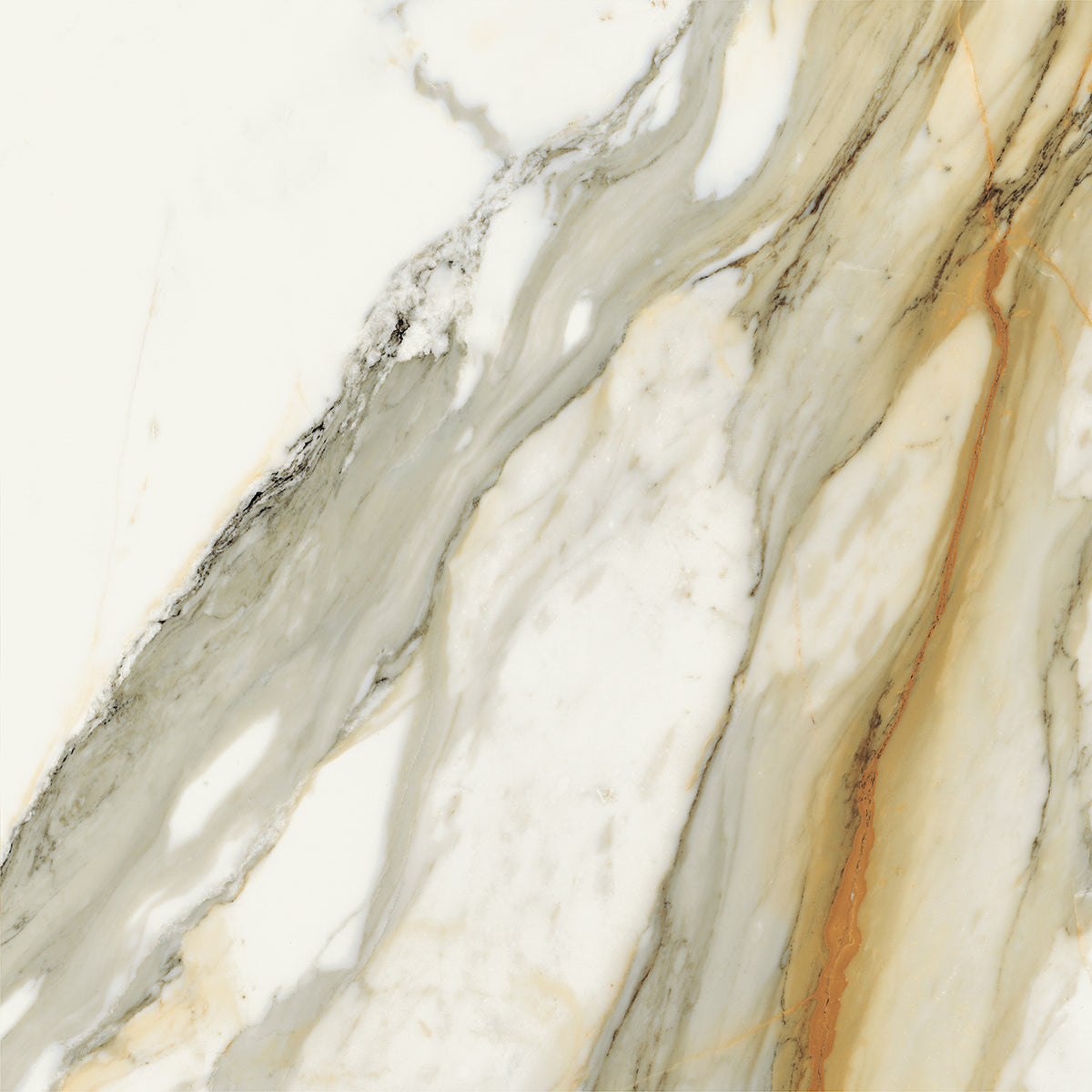 Opulent: Calacatta Vena Antica