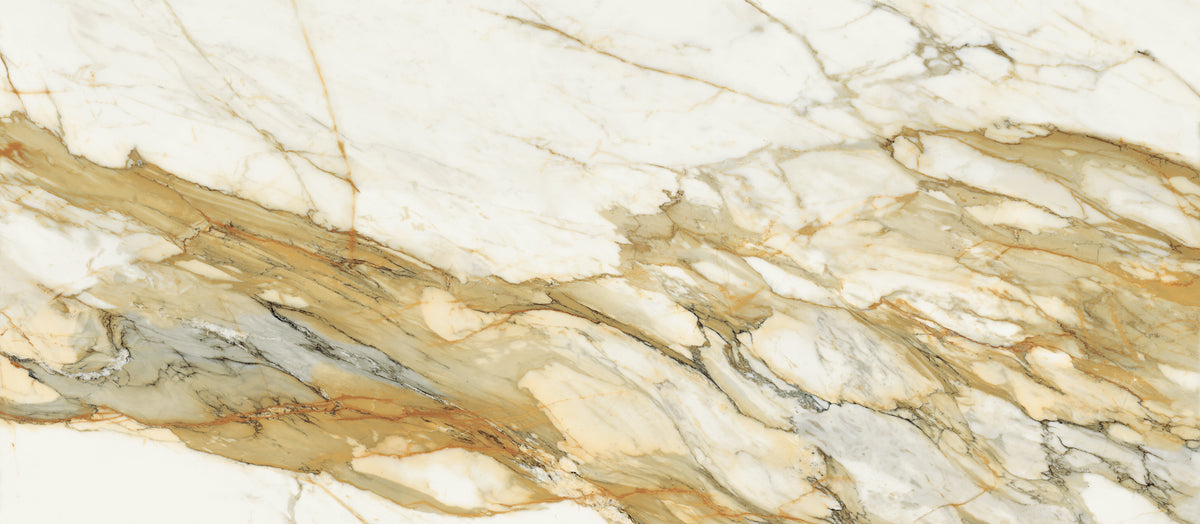 Opulent: Calacatta Vena Antica