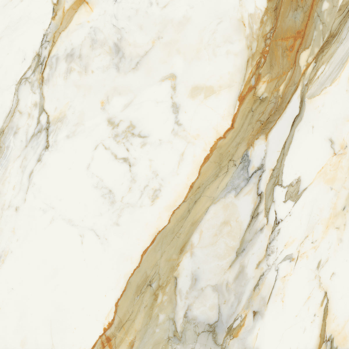 Opulent: Calacatta Vena Antica