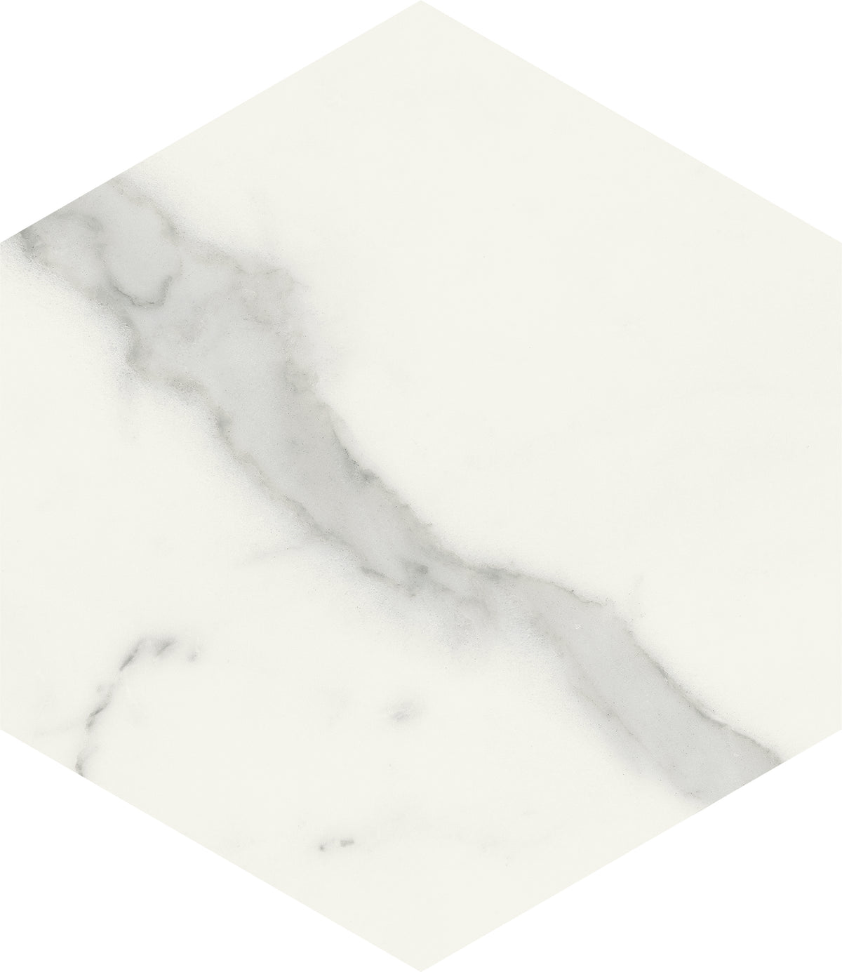 Opulent: Statuario Vena Argento