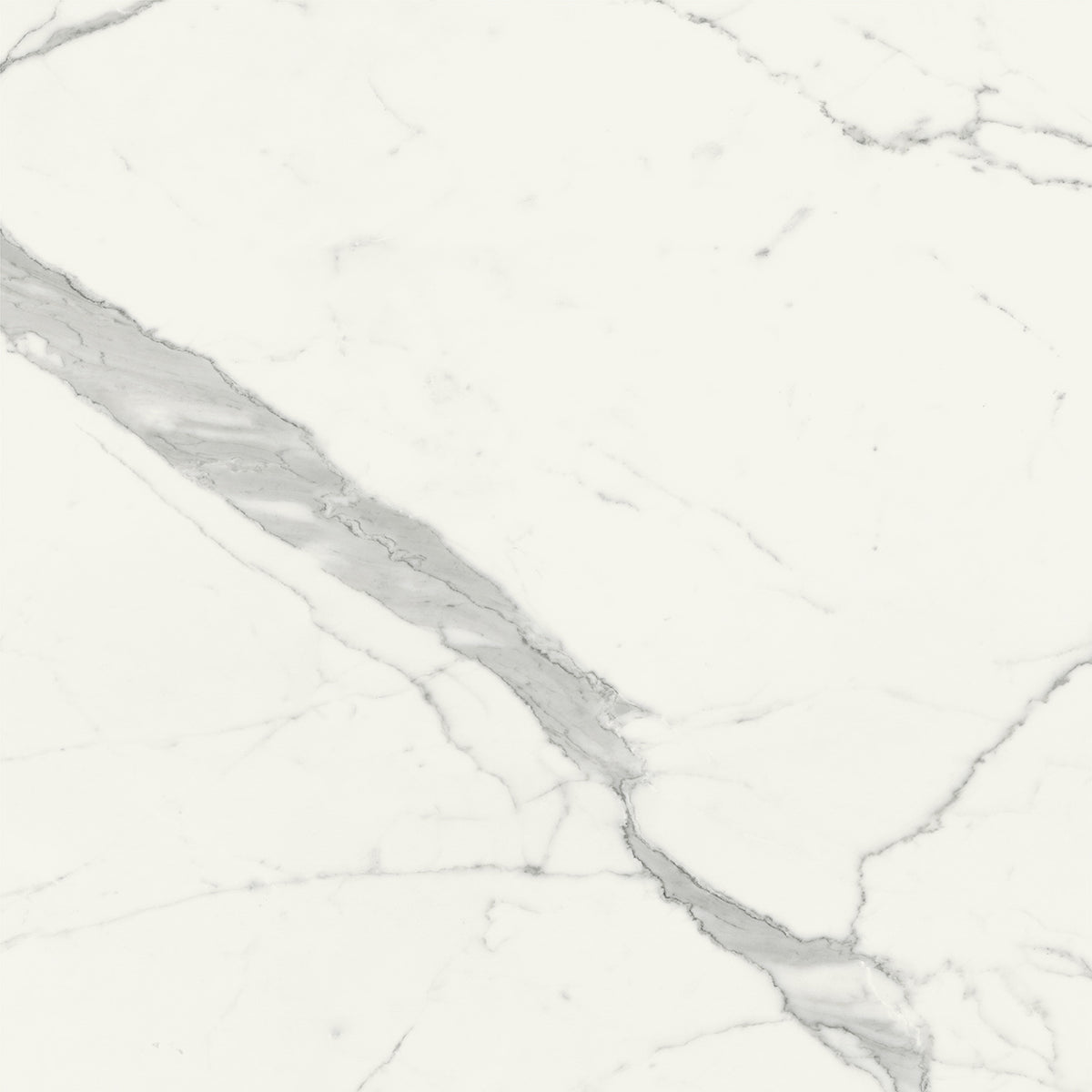 Opulent: Statuario Vena Argento