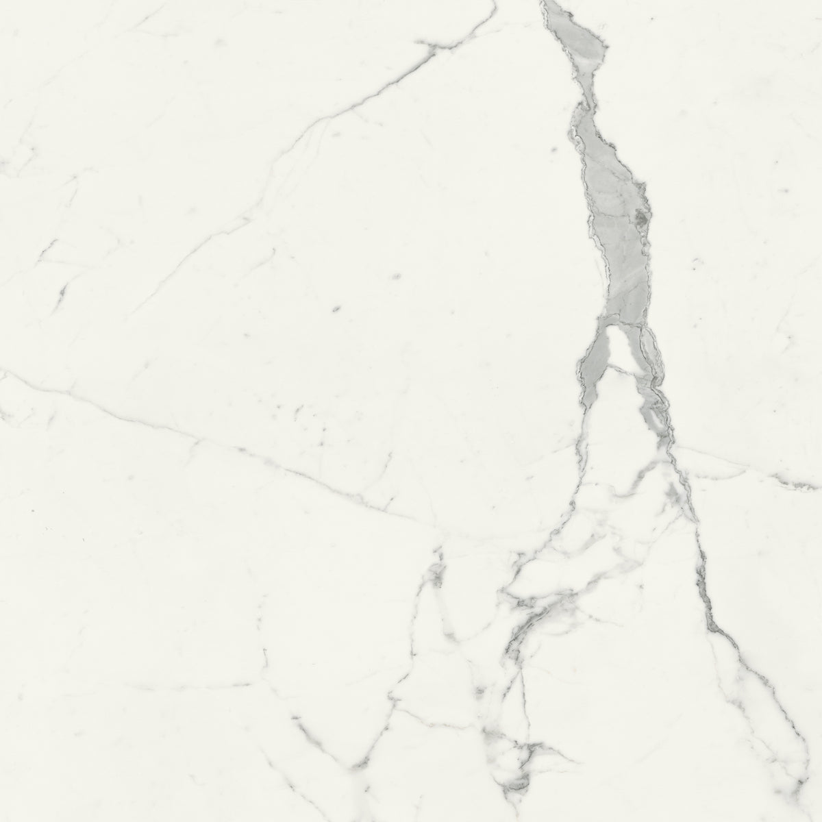 Opulent: Statuario Vena Argento