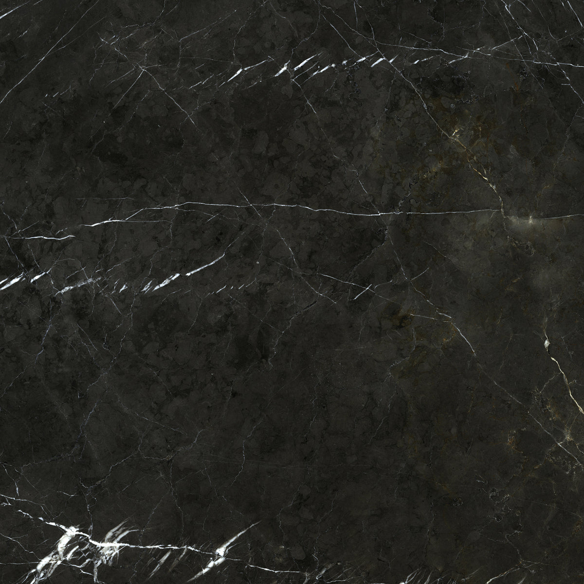 Prestigio: Marquina