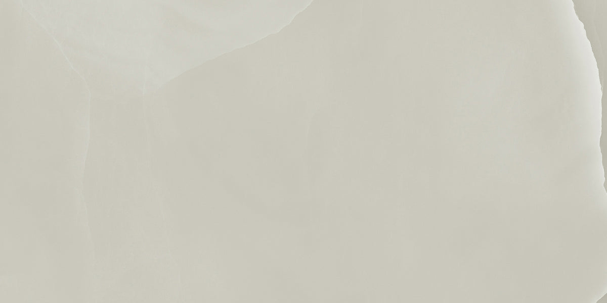 Prestigio Onyx: Grey