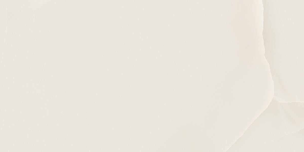 Prestigio Onyx: White