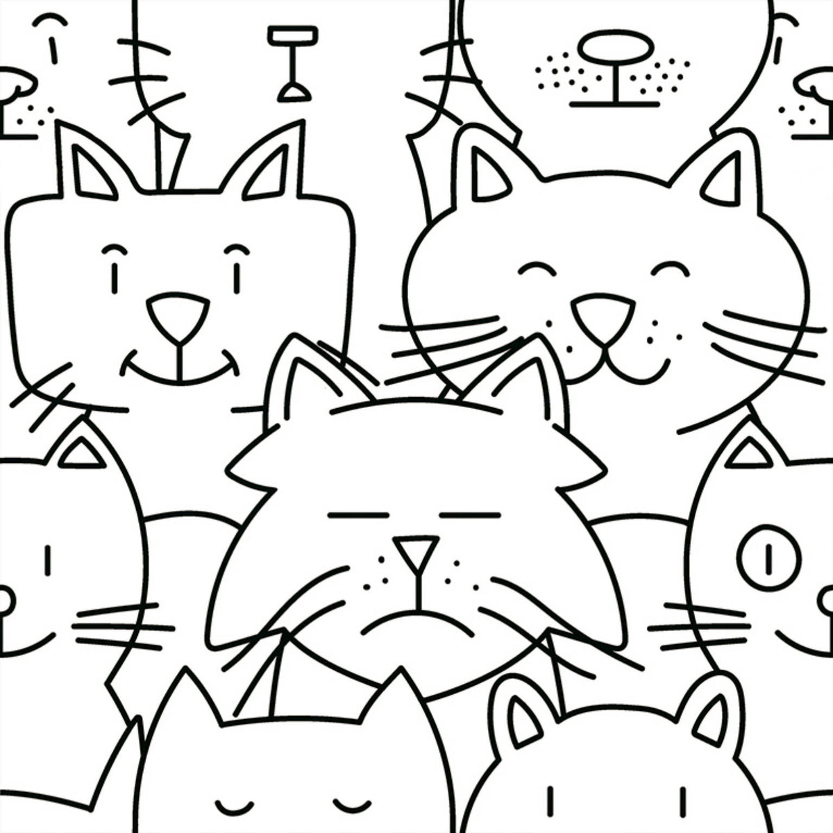 Catz
