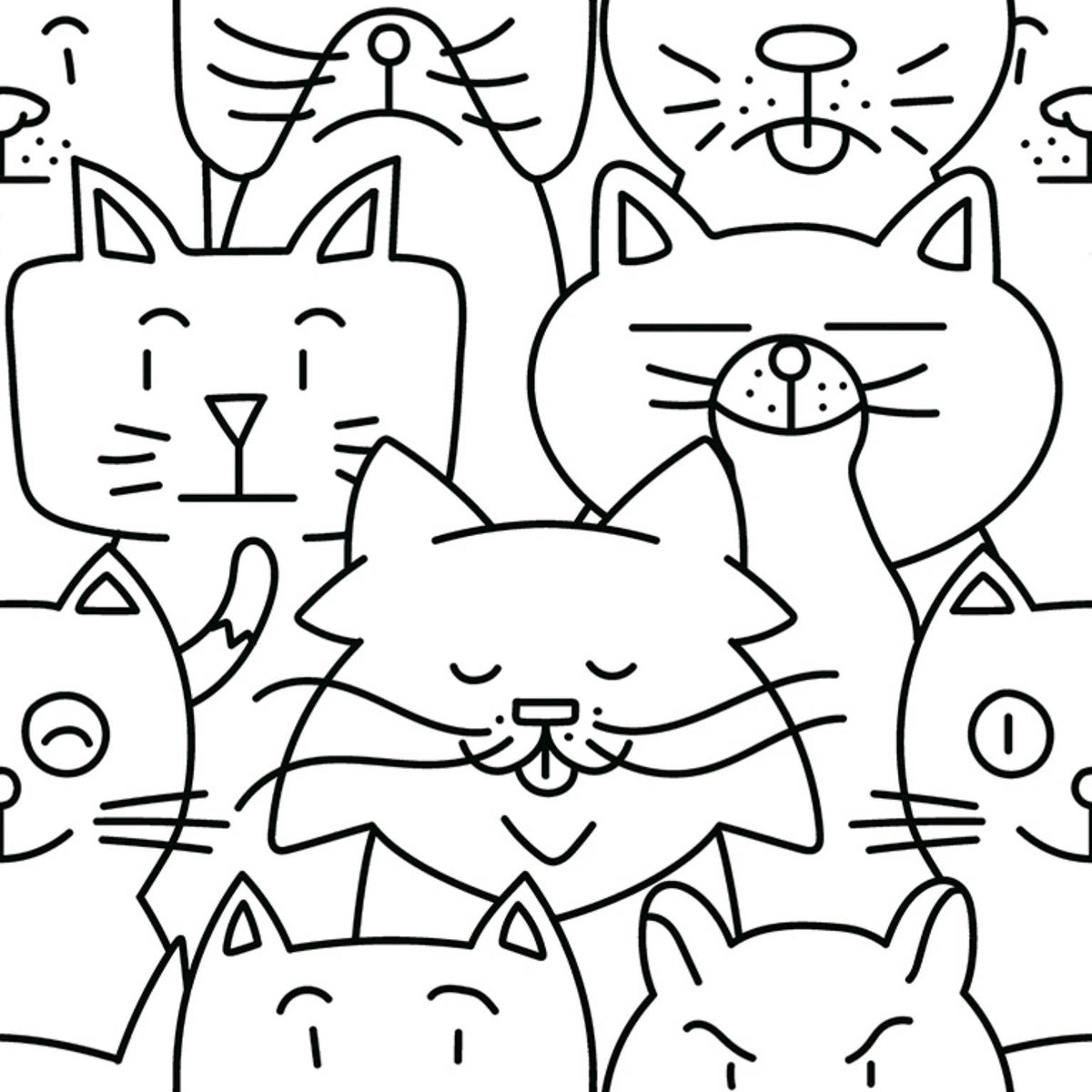 Catz