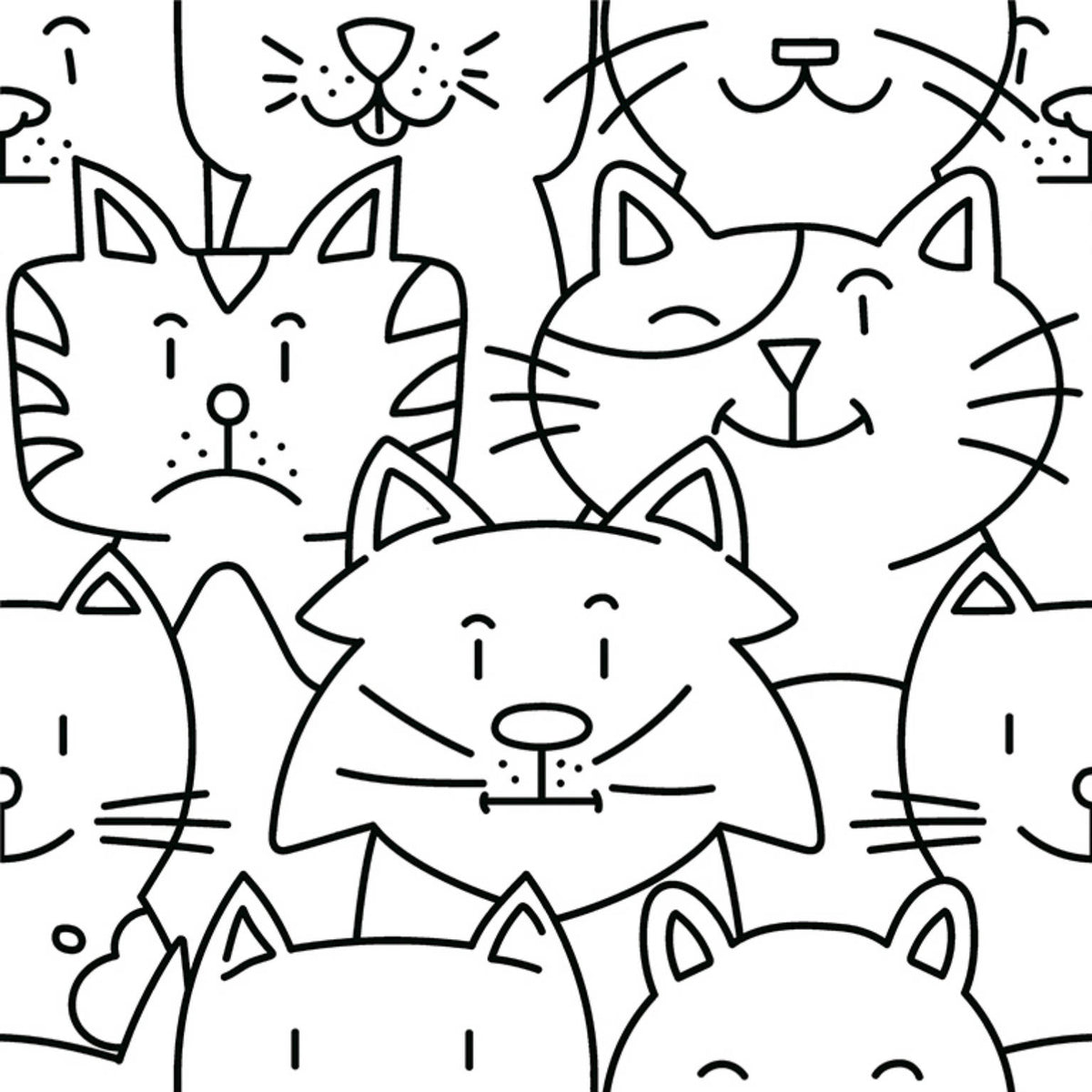 Catz