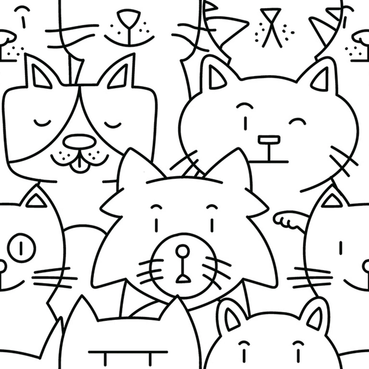 Catz