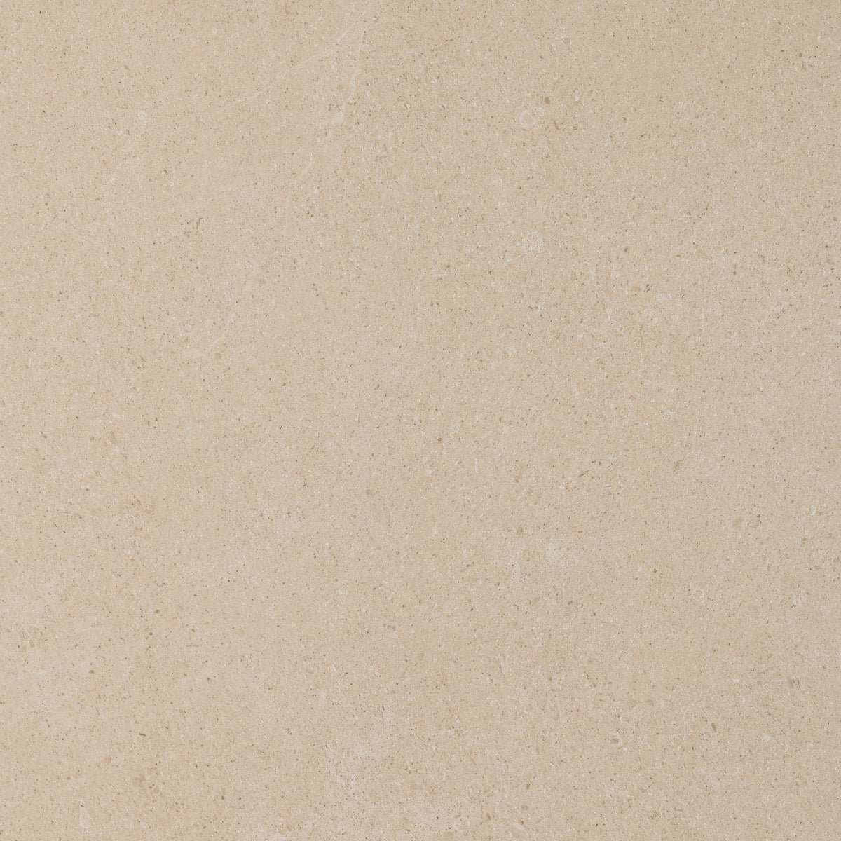 Reverent: Esteem Beige