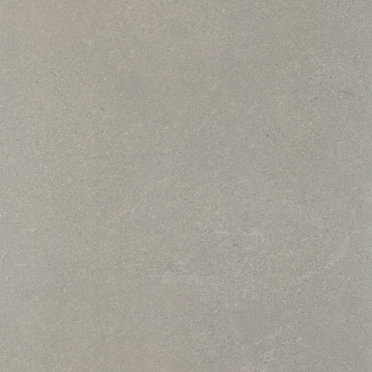 Reverent: Gratify Gray